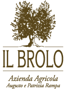 Il Brolo - Extra Virgin Olive Oil from Garda Lake